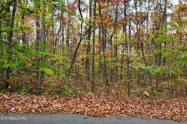 Sharps Chapel, TN 37866,Lot #7 Walker Rd
