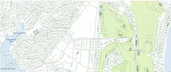 Baneberry, TN 37890,3347 Mountain View Lane, Lot #1100