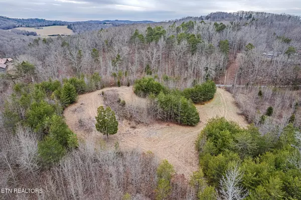 Decatur, TN 37322,000 Correll Ridge Rd