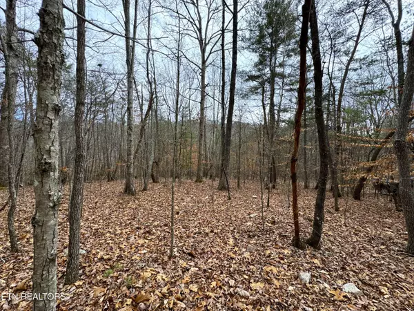 Del Rio, TN 37727,Lot 45 Zuni WAY