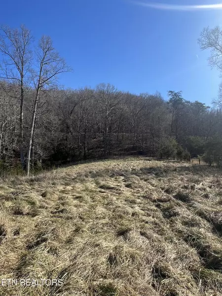 0 Brushy Valley DR, Powell, TN 37849