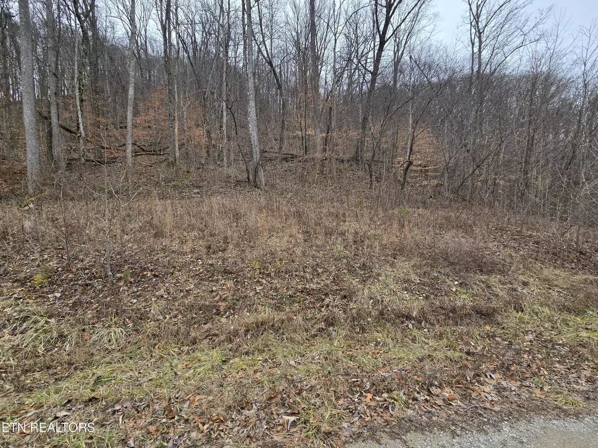 Jamestown, TN 38556,Lot 5 Apache Rd