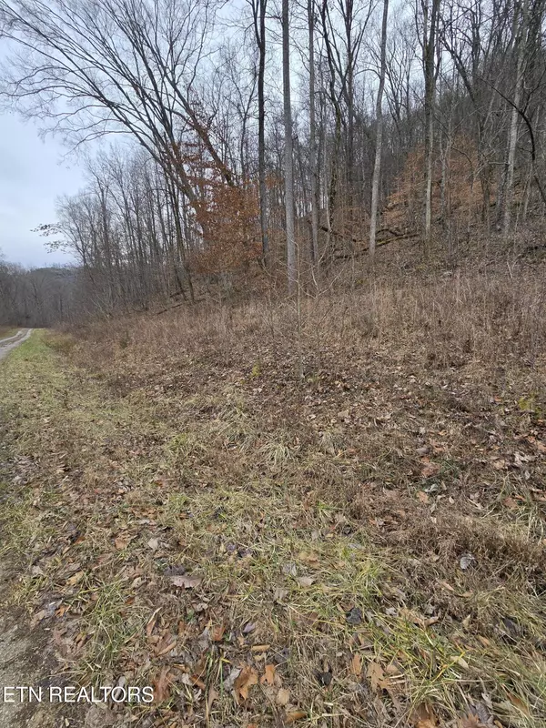 Jamestown, TN 38556,Lot 5 Apache Rd