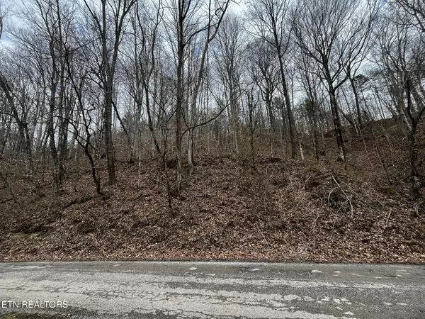 Oneida, TN 37841,0 Paint Rock Creek