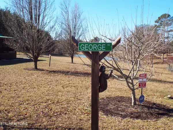 Deer Lodge, TN 37726,Tract 9 George DR