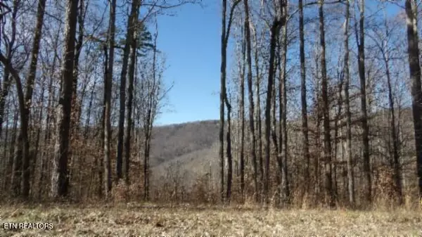 Jamestown, TN 38556,Lot 28 Apache Rd