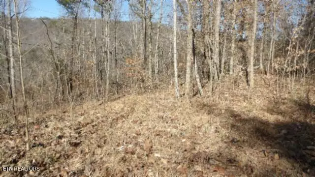 Jamestown, TN 38556,Lot 28 Apache Rd