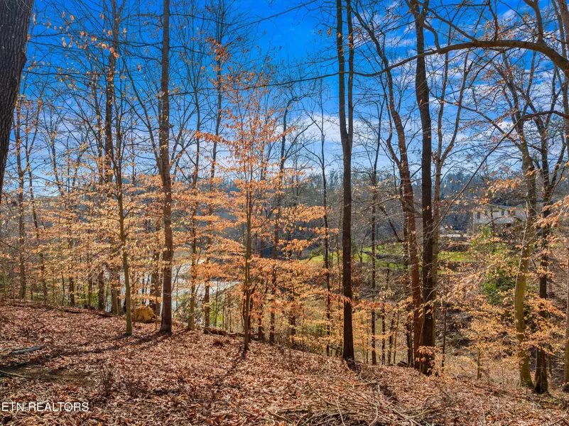 Lot 2 Persimmon Orchard DR, Dandridge, TN 37725