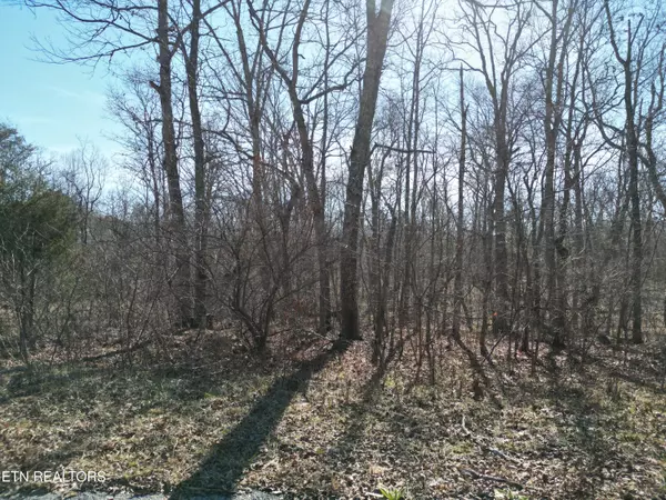 1045 Yucatan LN, Crossville, TN 38572