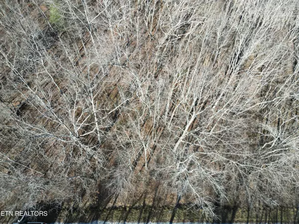 Crossville, TN 38572,1135 Mohave DR