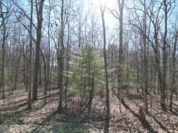 7032 Ute LN, Crossville, TN 38572