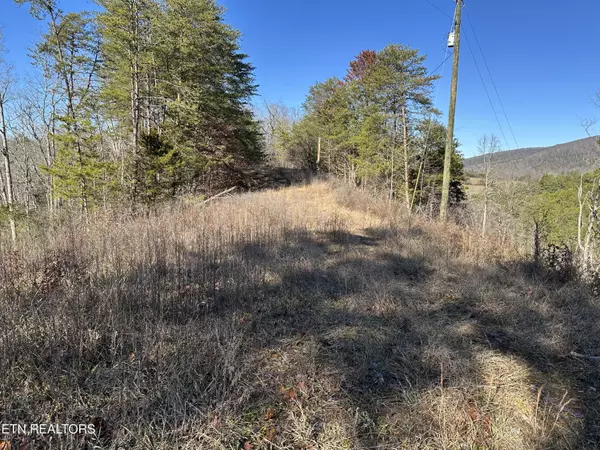 Sevierville, TN 37876,907 Sharp Rd