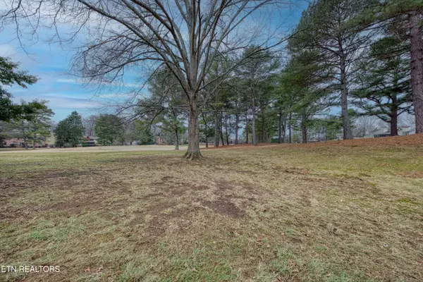 Knoxville, TN 37934,549 Lost Tree LN