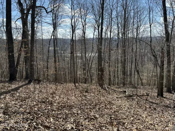 Highland Trace, Lot 41 Rd, Sharps Chapel, TN 37866