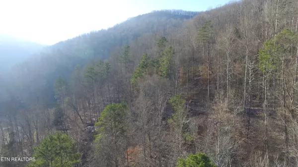 Crawford, TN 38554,Wilder Hwy