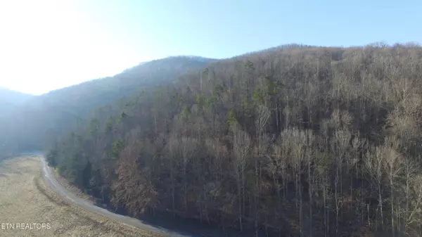 Crawford, TN 38554,Wilder Hwy