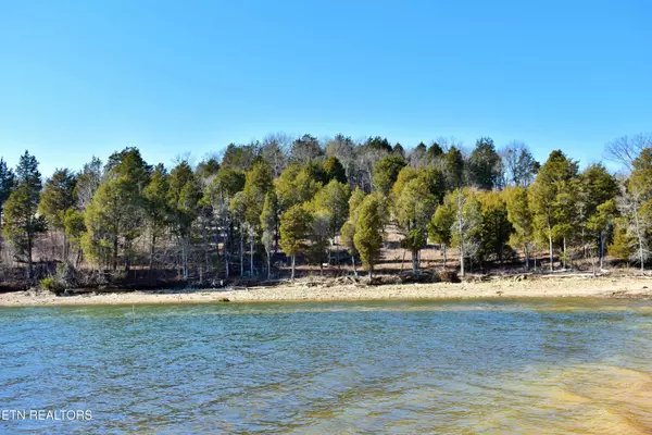 Rockwood, TN 37854,Lot 105 Shore DR