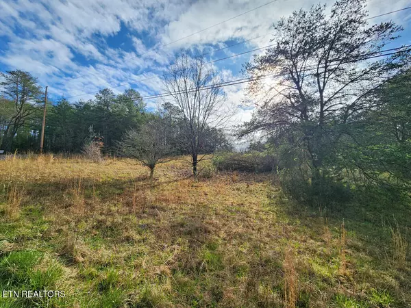 Sevierville, TN 37876,Lot 11 Lum WAY