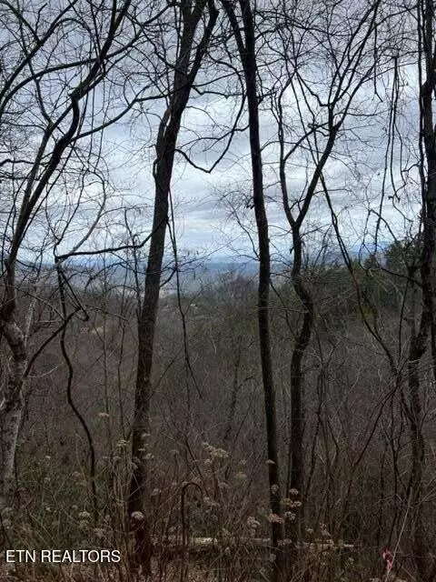 Sevierville, TN 37862,Lot 3 Overholt Tr