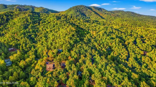 Gatlinburg, TN 37738,945 Scenic Trl Tr