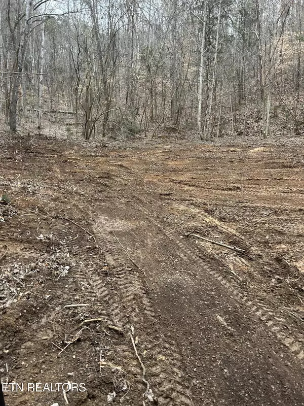 Sevierville, TN 37876,Maples Branch Rd