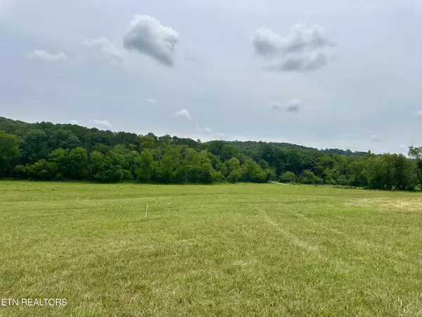 Lot 8 Rutledge PIKE, Blaine, TN 37709