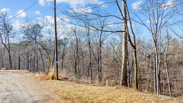 Sevierville, TN 37876,Lot 199 Tsali DR