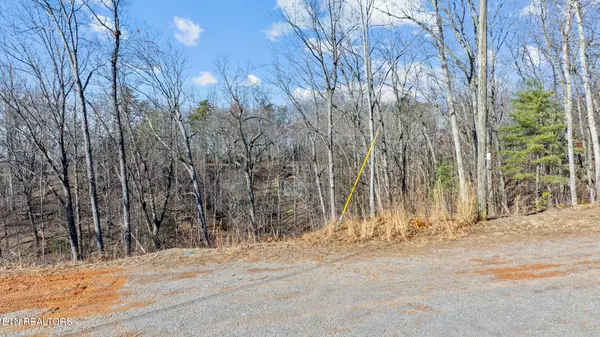 Sevierville, TN 37876,Lot 199 Tsali DR