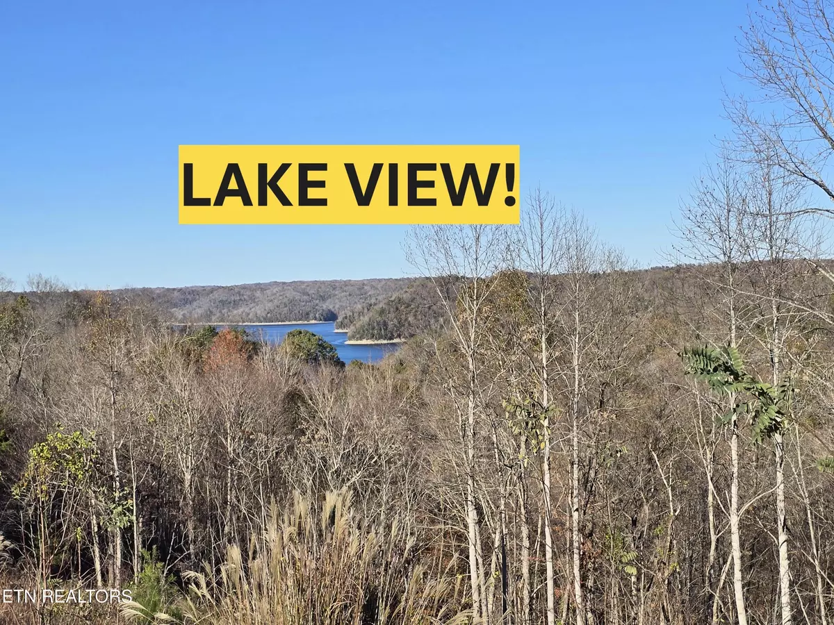 Byrdstown, TN 38549,Lot 10, 11 Stoney Point Rd