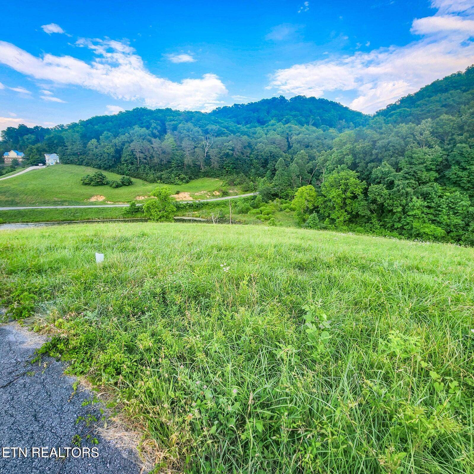 Sharps Chapel, TN 37866,Lot 173 Claudes Nest