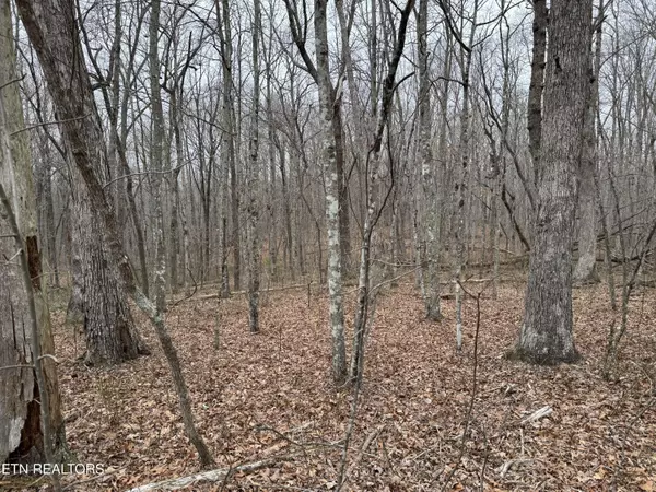 Monterey, TN 38574,Lot 6 Cumberland Cove Rd