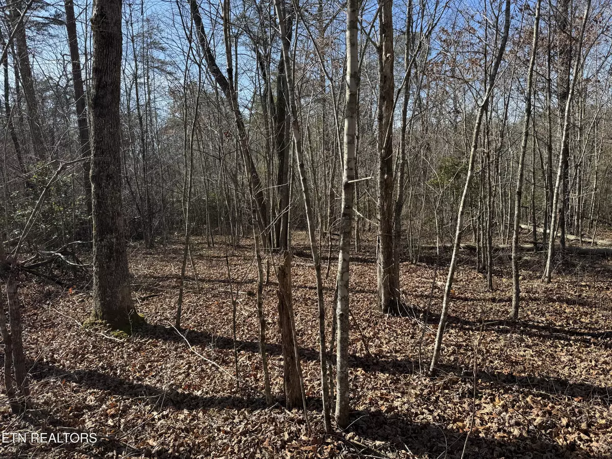 Monterey, TN 38574,Lot 6 Cumberland Cove Rd