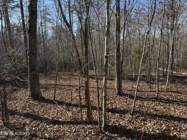 Lot 6 Cumberland Cove Rd,  Monterey,  TN 38574