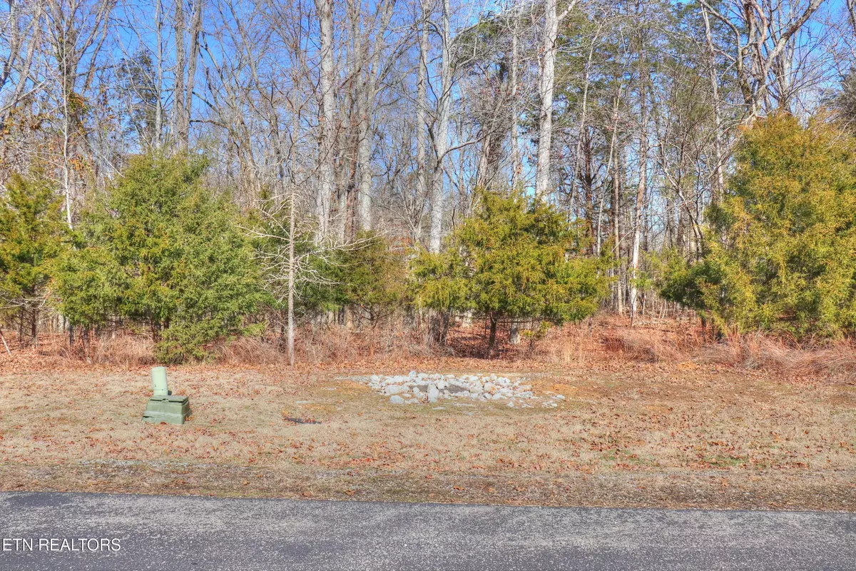 Rockwood, TN 37854,Lot 151 Shore DR