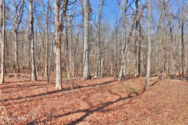 Rockwood, TN 37854,Lot 151 Shore DR