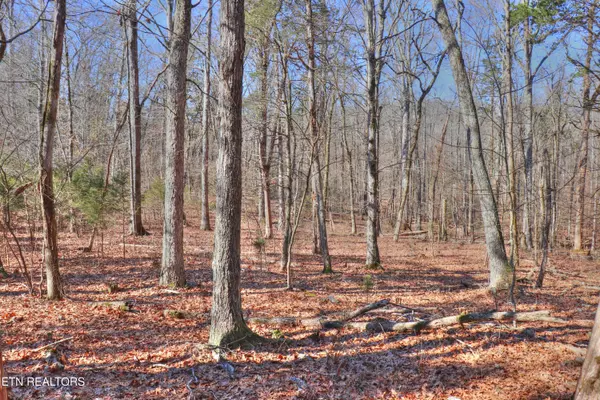 Rockwood, TN 37854,Lot 151 Shore DR