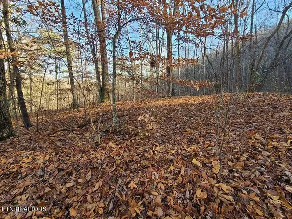 Sevierville, TN 37862,Lot 9 Walden Flats WAY