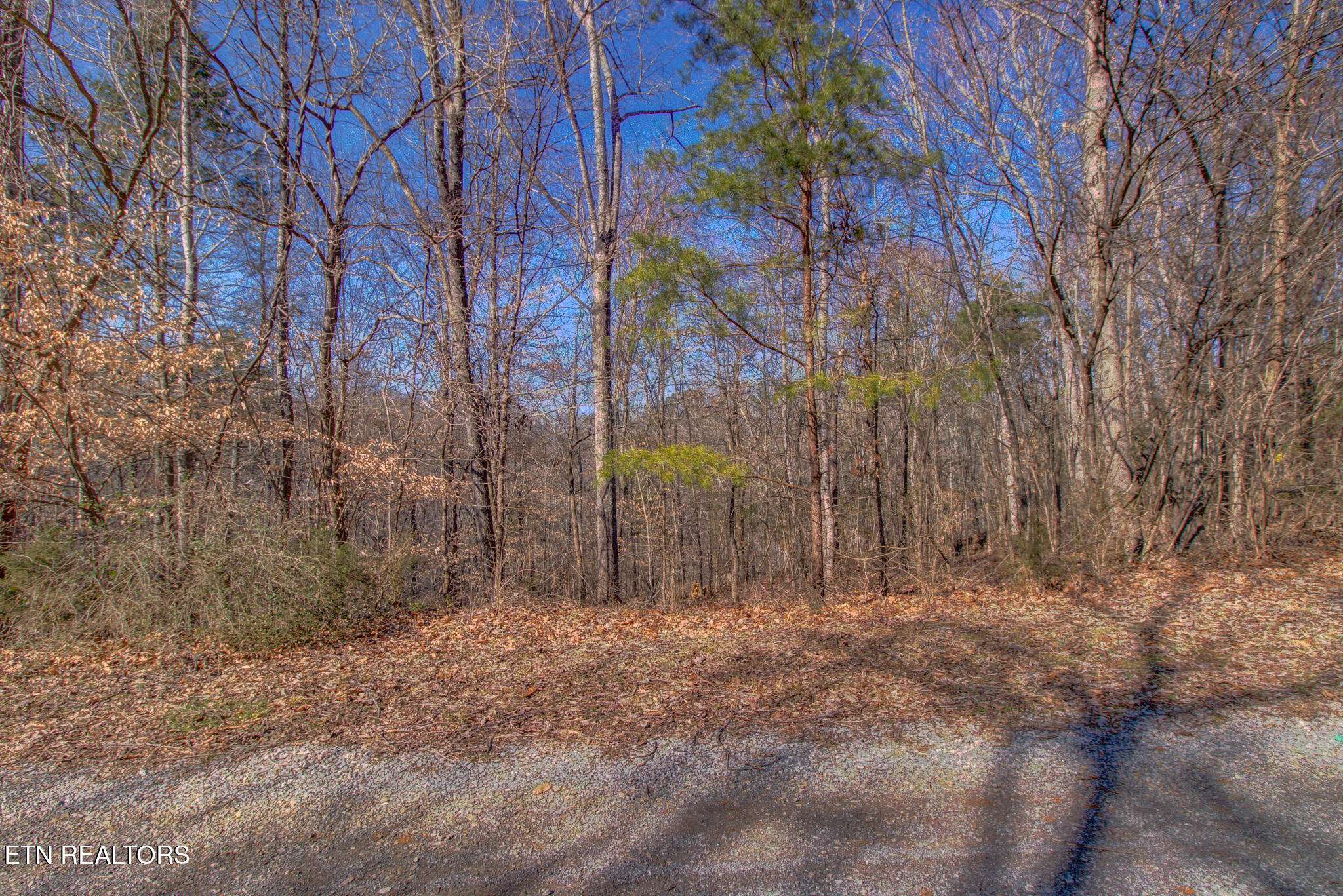 Maryville, TN 37803,4575 Crooked Creek WAY