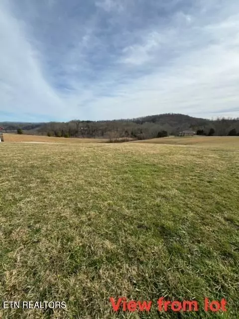 Byrdstown, TN 38549,Lot 13 Holly Bend Dr