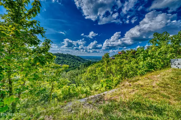 Sevierville, TN 37876,2109 Paradise View WAY