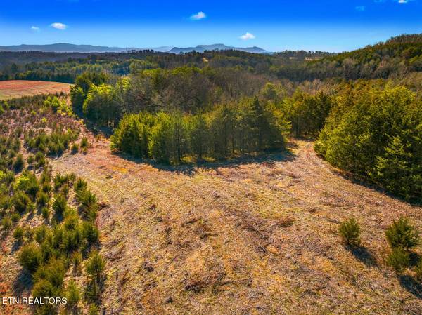 LOT 6 Lonesome Pine Rd, Bybee, TN 37713