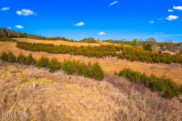 Bybee, TN 37713,Lot 5 Lonesome Pine Rd