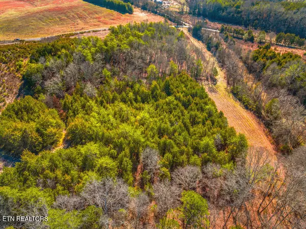 Bybee, TN 37713,Lot 7 Lonesome Pine Rd