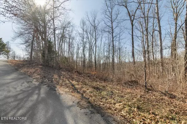 Lot Camp Galilee Rd, Lafollette, TN 37766