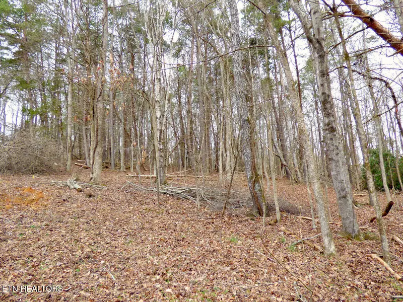 Lot 13 Back Nine DR, Baneberry, TN 37890