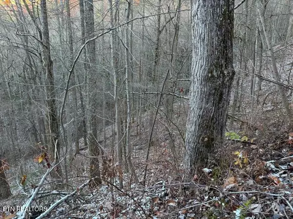 Lot 5 High Ridge WAY, Sevierville, TN 37862