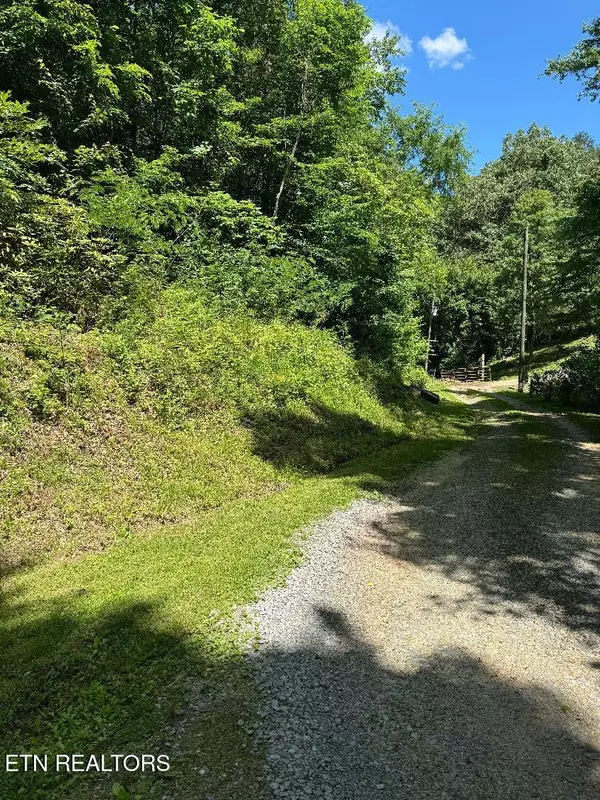 Sevierville, TN 37864,Larix DR