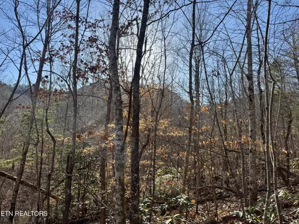 Gibson Hollow.  2.33 acres Rd, Sevierville, TN 37876