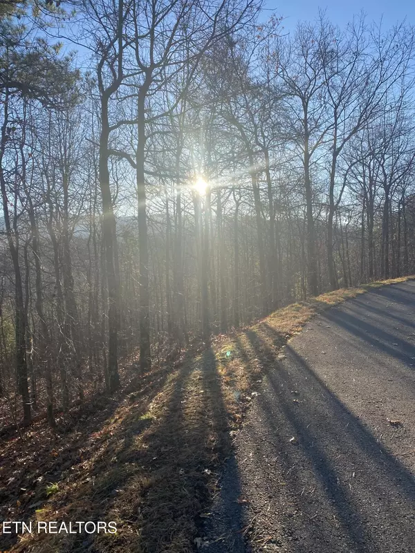 Gatlinburg, TN 37738,D-7 Lightning Bug Way