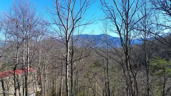 Gatlinburg, TN 37738,Cove